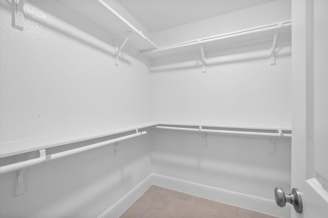 8423 Holiday Ln, Houston, TX 77075 - view of spacious closet
