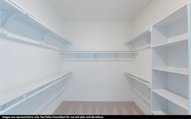 422 Riesling Dr, Alvin, TX 77511 - walk in closet with carpet