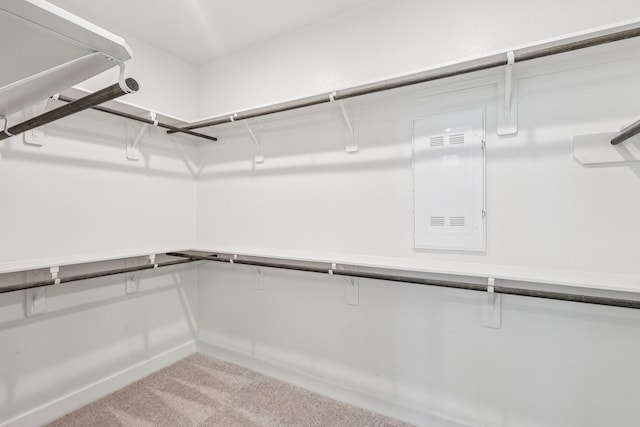 28814 Creekside Bend Dr, Fulshear, TX 77441 - spacious closet with electric panel and carpet flooring