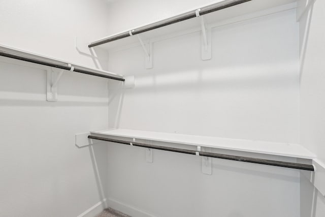 28814 Creekside Bend Dr, Fulshear, TX 77441 - view of walk in closet