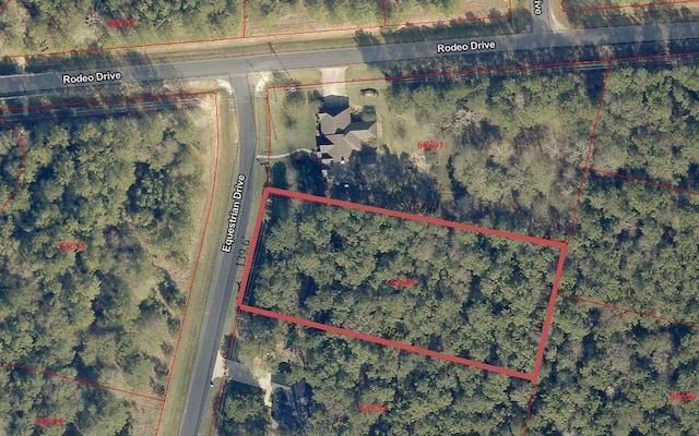 17729 Equestrian Dr, Waller, TX 77484 - photo 2