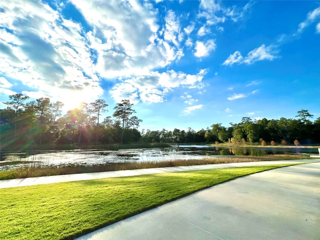 6619 Minola St, Houston, TX 77007 - view of home's community featuring a water view and a lawn