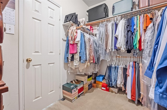 9303 Filaree Ridge Ln, Houston, TX 77089 - walk in closet featuring carpet floors