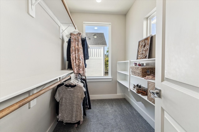 823 Mansfield St Unit E, Houston, TX 77091 - walk in closet with carpet floors