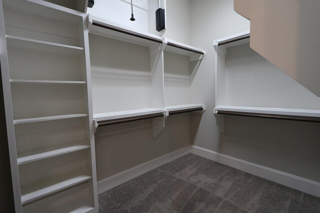 9642 Fannin Sta W, Houston, TX 77045 - walk in closet featuring dark colored carpet