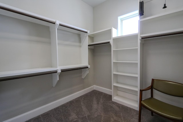 9642 Fannin Sta W, Houston, TX 77045 - walk in closet featuring dark colored carpet