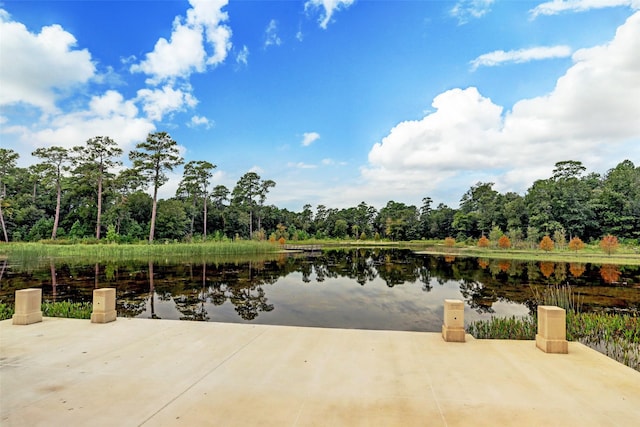 511 S Post Oak Ln Unit 2B, Houston, TX 77056 - water view