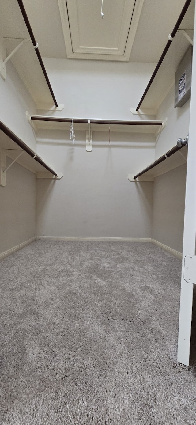 10722 Clearview Villa Pl, Houston, TX 77025 - view of walk in closet