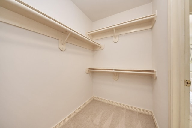 4311 Roaring Rapids Dr, Pasadena, TX 77059 - walk in closet with carpet flooring