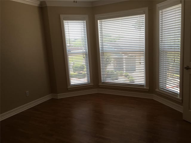 18617 Egret Bay Blvd Unit 303, Webster, TX 77058 - spare room featuring dark wood-type flooring, baseboards, crown molding, and healthy amount of natural light