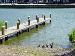 18617 Egret Bay Blvd Unit 303, Webster, TX 77058 - dock with a water view
