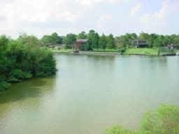 18617 Egret Bay Blvd Unit 303, Webster, TX 77058 - water view
