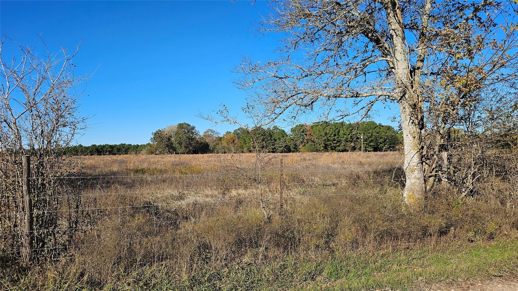TBD Podraza Rd, New Waverly, TX 77358 - photo 2