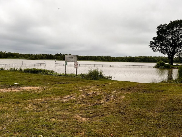 239 Cove Vw, Trinity, TX 75862 - view of grassy yard with a water view