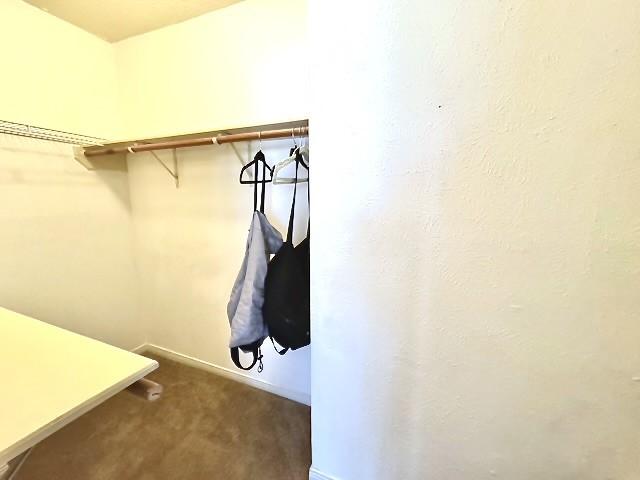 3823 Knollcrest Dr, Montgomery, TX 77356 - walk in closet featuring carpet floors