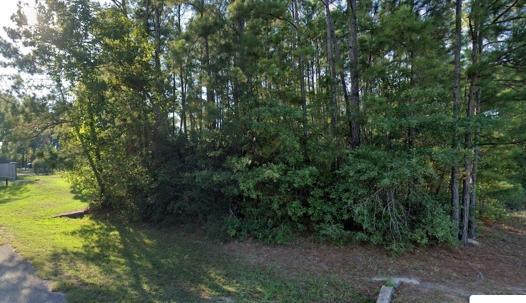 226 W Lone Oak Rd, Onalaska, TX 77360