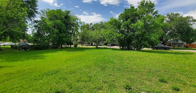 3614 Barberry Dr, Houston, TX 77051 - photo 10