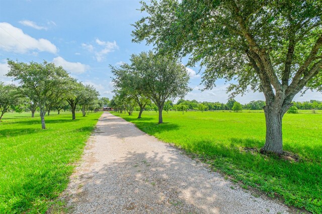 3214 Fm 1875th Rd, Beasley, TX 77417 - photo 3