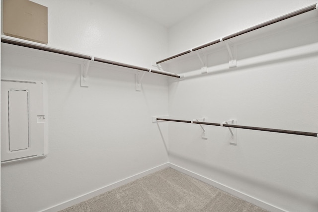 13122 Leisure Cove Dr, Texas City, TX 77568 - spacious closet featuring carpet