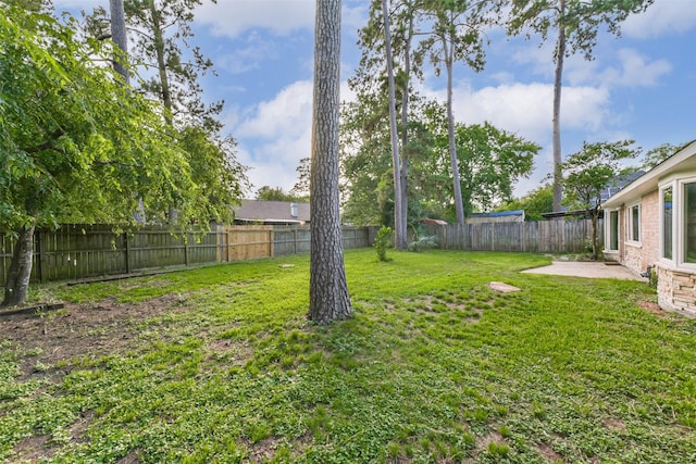 23011 Grand Rapids Ln, Spring, TX 77373 - view of yard featuring a patio