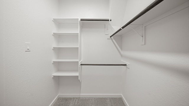 2405 Village Azalea Dr, Texas City, TX 77568 - spacious closet with carpet flooring