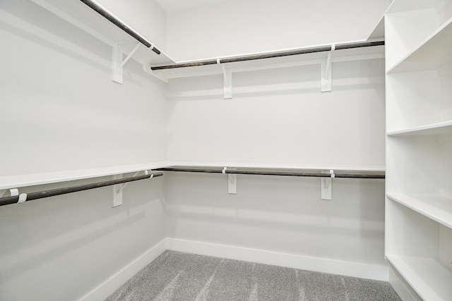 3337 Shelby Cir, Houston, TX 77051 - spacious closet featuring carpet