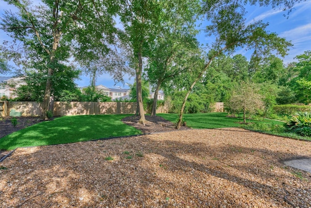 23106 Hampton Forest Ln, Spring, TX 77389 - view of yard