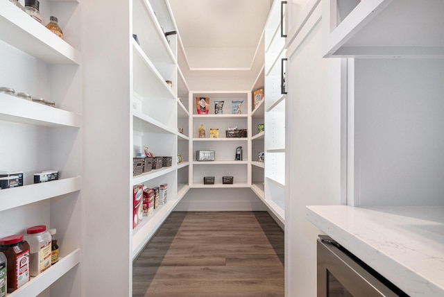 111 Seagull Path, Point Blank, TX 77364 - pantry featuring beverage cooler