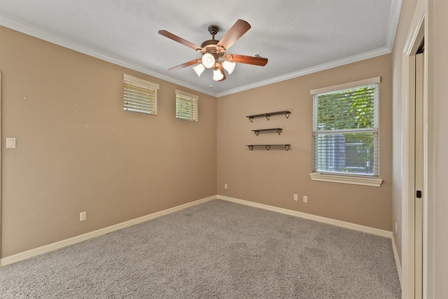 1215 Malone St, Houston, TX 77007 - photo 10