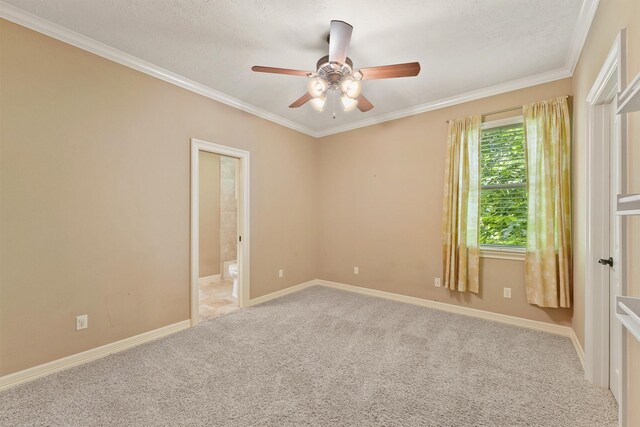 1215 Malone St, Houston, TX 77007 - photo 12