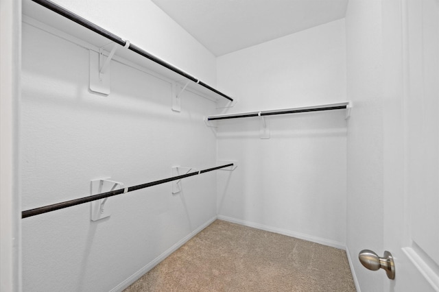 14008 Paddlefish Dr, Conroe, TX 77384 - spacious closet featuring light colored carpet