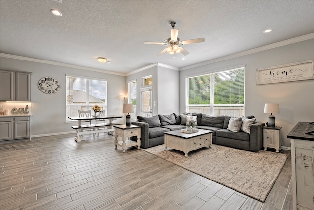 676 W Linnwood Dr, New Caney, TX 77357 - living room featuring ceiling fan, light wood finished floors, crown molding, a textured ceiling, and baseboards