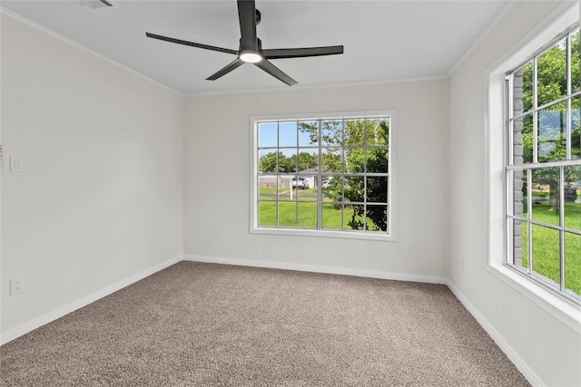 3805 19th St N, Texas City, TX 77590 - unfurnished room with plenty of natural light, carpet flooring, ceiling fan, and crown molding