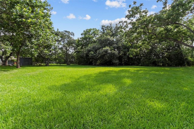 3805 19th St N, Texas City, TX 77590 - view of yard