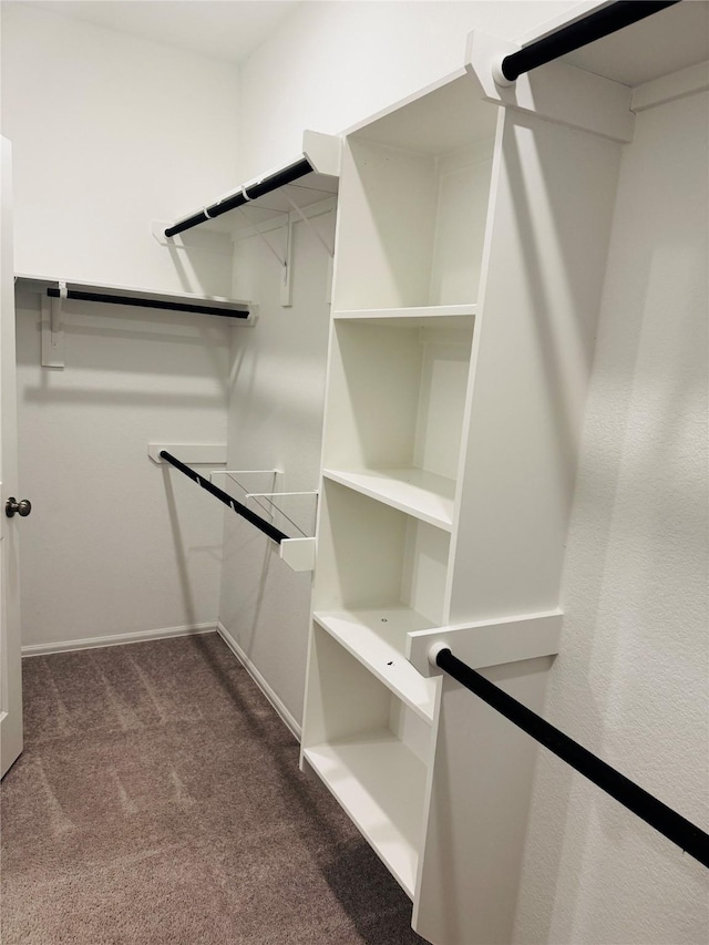 3713 NE River Sand Rd, Rosenberg, TX 77469 - spacious closet featuring dark carpet
