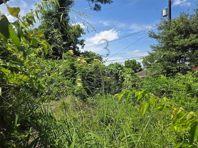 4209 Bell St, Houston, TX 77023 - photo 4