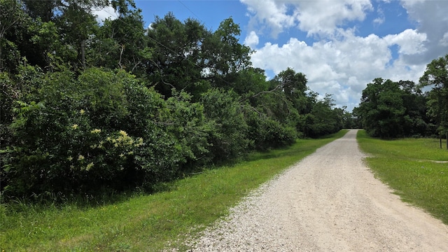 TBD. County Road 825, West Columbia, TX 77486 - photo 1