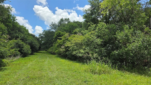 TBD. County Road 825, West Columbia, TX 77486 - photo 2