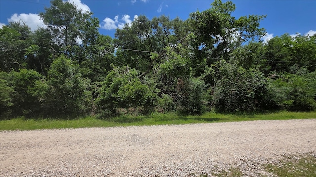 TBD. County Road 825, West Columbia, TX 77486 - photo 3