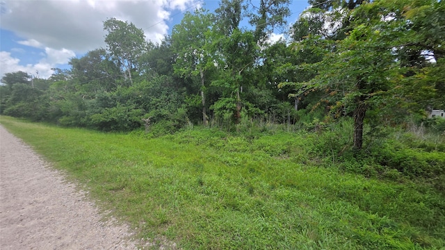 TBD. County Road 825, West Columbia, TX 77486 - photo 5