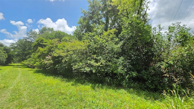 TBD. County Road 825, West Columbia, TX 77486 - photo 6