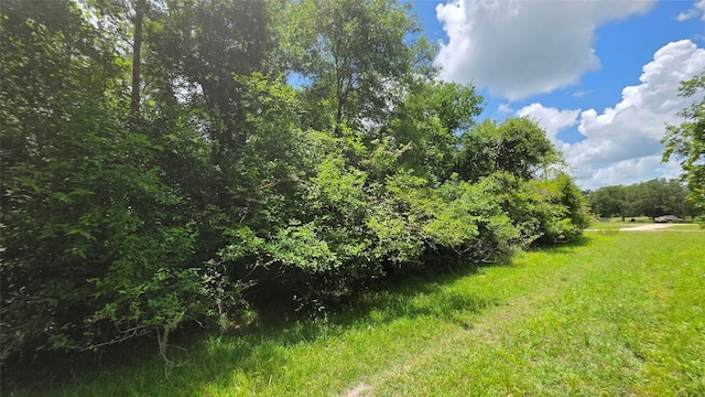 TBD. County Road 825, West Columbia, TX 77486 - photo 7