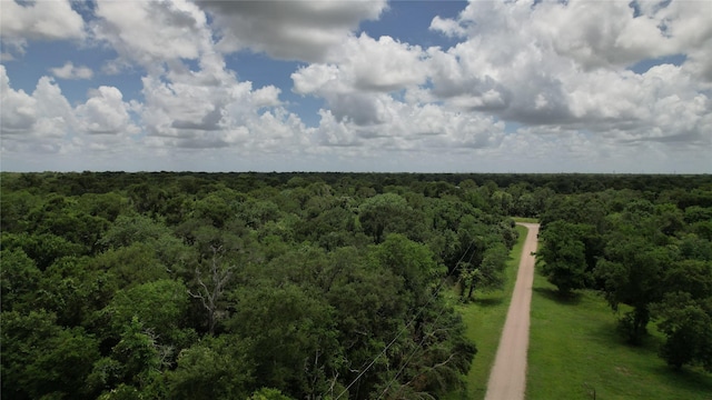 TBD. County Road 825, West Columbia, TX 77486 - photo 8