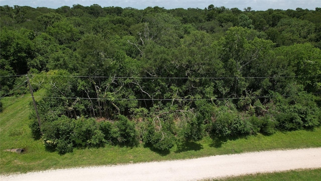 TBD. County Road 825, West Columbia, TX 77486 - photo 10