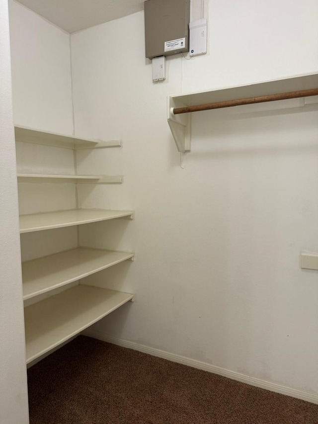 2232 Stableridge Dr, Conroe, TX 77384 - walk in closet featuring carpet floors