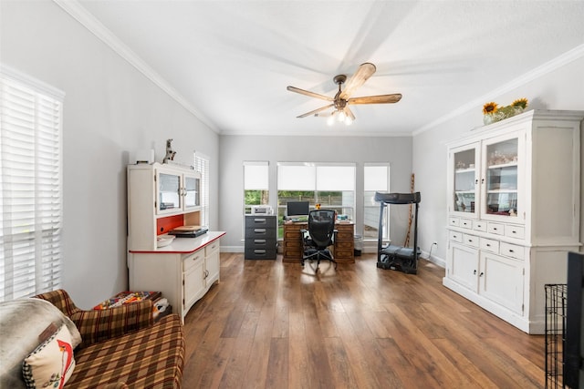 1523 Lofty Maple Trl, Kingwood, TX 77345 - office featuring a ceiling fan, dark wood-style floors, ornamental molding, and baseboards
