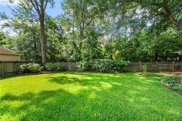 1523 Lofty Maple Trl, Kingwood, TX 77345 - view of yard