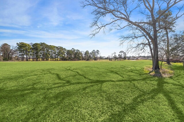 18226 Hampton Hills Dr, Humble, TX 77338 - photo 24