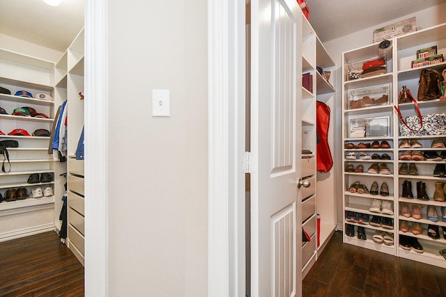 26706 Grey Swan Dr, Katy, TX 77494 - walk in closet with hardwood / wood-style flooring