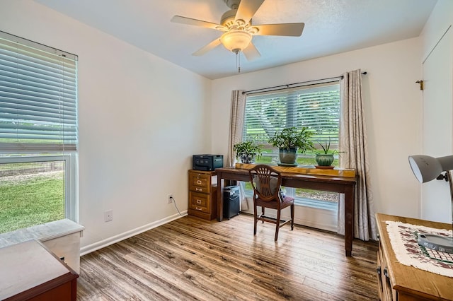 131 Park Dr, Point Blank, TX 77364 - office with wood finished floors, ceiling fan, and baseboards
